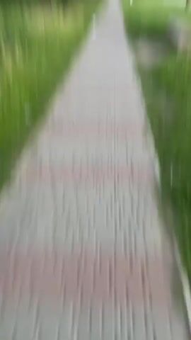 A low-angle, first-person perspective video captures a blurry view of a paved walkway. The walkway is composed of interlocking pavers in alternating patterns of grey and reddish-pink. The path stretches forward into the distance, appearing to curve slightly to the right. On either side of the walkway, there is a blurred green grassy area, suggesting an outdoor environment like a park or garden. The motion suggests the camera is moving forward, walking along the path. There are no visible people or distinct objects in the foreground or clearly identifiable in the background due to the motion blur. The lighting appears to be daylight.