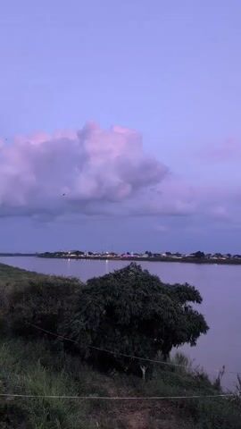 A vertical, low-angle shot captures a serene natural landscape at dusk. The sky is a soft, pastel gradient of purple and pink, with large, fluffy clouds dominating the upper portion of the frame. A calm body of water, reflecting the muted sky, occupies the middle ground. Along the far bank of the water, a distant village or town is visible, marked by scattered lights and buildings. In the foreground, a lush green embankment slopes down towards the water. A dark, dense tree sits prominently on the embankment, its foliage creating a stark contrast against the lighter background. Grassy vegetation and a thin string line run along the edge of the embankment. To the right of the frame, a rustic structure with a corrugated metal roof is partially visible, resting near the water's edge. The overall atmosphere is peaceful and tranquil, suggesting a quiet evening by the water.