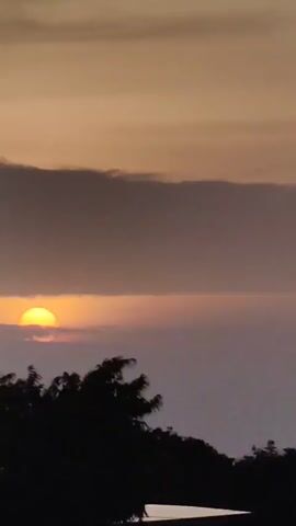 The video captures a sunset scene with the sun partially obscured by clouds. In the foreground, silhouetted trees are visible, with one tree on the left having what appears to be two birds perched on its topmost branches. The sky displays hues of orange and yellow, transitioning to a muted purple and gray closer to the horizon.