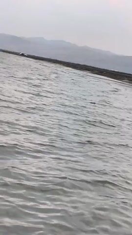 The video shows a body of water with ripples. In the distance, there is a flat expanse of land, followed by hills under a cloudy sky. A green object floats in the water. A car and some debris are visible on the land. The sky displays hues of pink and orange, suggesting either sunrise or sunset.