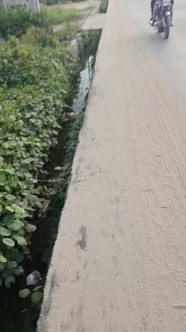 The video shows a street scene in an urban area. A concrete sidewalk is visible on the left side of the frame, bordering a narrow drainage ditch filled with water and vegetation. The ditch contains litter. The right side of the frame shows a road covered with a layer of light-colored sand or dust. Tire tracks are visible in the sand. In the distance, buildings can be seen on both sides of the road. Several motorcycles are visible, some moving towards the camera and others moving away. The sky is overcast, casting a diffused light over the scene. The video appears to be taken from a slightly elevated position.