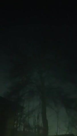 The video depicts a dark, low-angle shot of trees at night. There's a noticeable presence of fog or smoke moving in the air. The lighting is very dim, making it difficult to discern clear details of the tree structures.