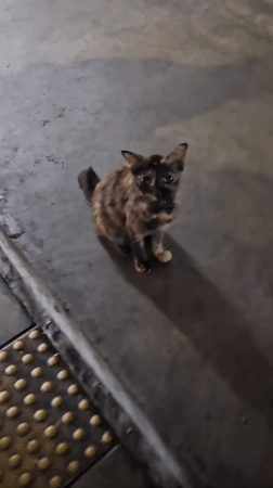 Bangkok, Thailand