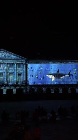 The video displays a building at night with a projection of a shark and fish on its facade. The building is illuminated with blue and white light, creating an underwater effect. Several people are seated on the ground in front of the building, watching the projection. The scene appears to be an outdoor event.