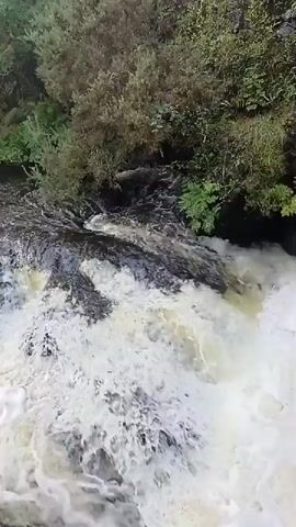 This is a high-angle video of a waterfall. The water is white and foamy as it cascades down. The surrounding area is filled with lush green trees and foliage. The water flows from the top of the frame and down towards the bottom. The video is shot in portrait mode and lasts for only a few seconds, showing the dynamic movement of the water.