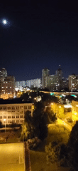 Cat watches from window during moonlit city night