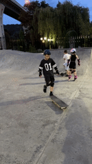 Sochi skatepark at dusk: scooters, rollerblades, and dogs