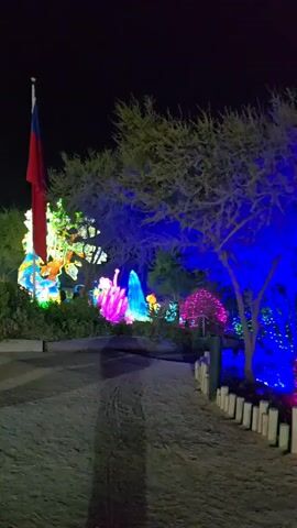 The video shows a nighttime outdoor setting. A sandy path, lined with a white wooden fence, curves through a park. The trees and bushes are illuminated with various colors of light, including blue, green, pink, and white. The light gives the area a vibrant and whimsical appearance. In the background, people can be seen walking among the light displays. The sky is dark and the overall atmosphere is festive.