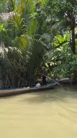 A video shows a woman rowing a small boat along a river. The woman is wearing a hat and is using a long pole to push the boat along. The river is lined with trees and vegetation. The water is murky and brown. The boat is old and wooden. There are some straw hats in the boat. The trees that line the river are predominantly palm trees and banana trees. The riverbank consists of mud and roots.