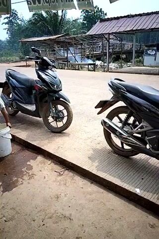The video opens with a close-up of two motorcycles parked side-by-side on a concrete surface. The motorcycle on the left is black, while the one on the right is dark purple and black with a pink helmet on its handlebars. A person in a black t-shirt and shorts walks into the frame from the right, partially obscuring the view of the right motorcycle. The person appears to be looking down and to the left. The background shows a marketplace with stalls and trees. In the distance, another person is seen bending over near a stall. The video pans slightly to the left, revealing more of the marketplace and the surrounding environment, which appears to be rural or semi-rural. The overall lighting suggests it is daytime.