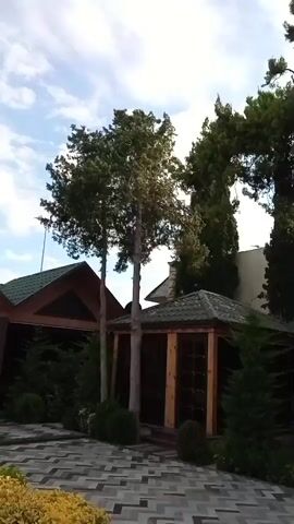 This media file is a video showcasing an outdoor scene. The main subjects are trees, buildings, and the sky. There are several types of trees visible, including what appear to be cypress trees and palm trees, with lush green foliage. Two buildings are partially visible: one with a pitched roof and a triangular window, and another, smaller structure that resembles a gazebo or pavilion with a wooden frame and a dark roof. The ground in the foreground is paved with interlocking stones.

The activity taking place is simply the observation of the outdoor setting, as there are no people or apparent actions depicted beyond the static presentation of the environment. The time of day appears to be either early morning or late afternoon, given the lighting conditions and the presence of soft shadows. The sky is partly cloudy with scattered white clouds against a pale blue background, suggesting mild weather.

Notable details include the architectural style of the buildings, which seems to be somewhat rustic or traditional, and the arrangement of the trees, some of which are tall and slender while others are broader and more sprawling. There are also string lights visible in the background, suggesting the area might be used for evening gatherings. The overall mood is peaceful and serene, highlighting the natural beauty and man-made structures within the setting. No text is visible in the media file. The location context provided is Buzovna, Azerbaijan.