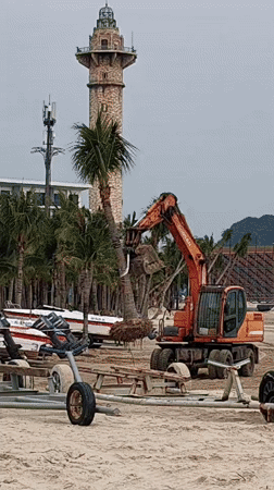 Construction equipment spotted on beach in Bai Chay Ward