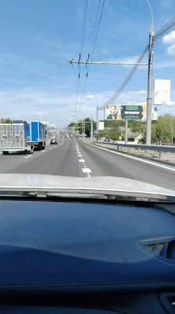 Summer nature documentation captured across Brest, Belarus afternoon
