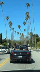 Black Ferrari convertible spotted driving on palm-lined LA street