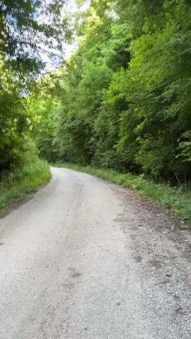 A dirt road winds through a dense forest. The road is unpaved and appears to be made of gravel. The forest is lush and green, with tall trees on either side of the road. The sun is shining through the trees, creating dappled sunlight on the road. The camera is moving forward, as if someone is walking or driving down the road. There are no people or vehicles visible in the video.