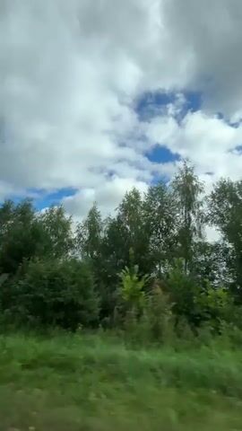 The video shows a view from a moving vehicle, looking out at a rural landscape. The sky is filled with large, white, puffy clouds, with patches of blue sky visible. Below the sky, a line of green trees stretches across the frame, with tall grasses and other vegetation in the foreground. The vehicle appears to be moving along a road or path, as indicated by the blur of the foliage and the changing scenery. In one section of the video, a utility pole with power lines stretching across the frame is visible in a green field. The overall impression is one of a sunny day in the countryside.
