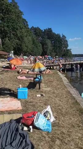 A crowded beach with people sunbathing and sitting under umbrellas. The ground is covered in dry grass and sand. In the foreground, there are several bags and a cooler. A body of water with a pier is visible in the background, with trees lining the shore. The sky is clear and blue.