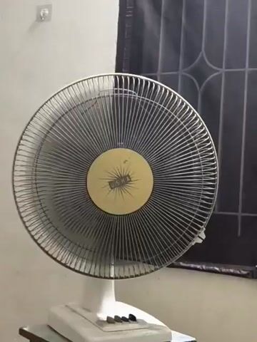 A white electric desk fan sits on a surface in front of a window with dark bars. The fan's blades are spinning, creating a blur. The fan has a circular metal grill with a yellow circular emblem in the center that has some writing on it. The background is a plain wall. The video is short, lasting only four seconds.