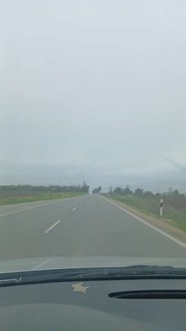 The video shows a first-person perspective from inside a car driving on a two-lane asphalt road through a rural area in Stefanovo, Bulgaria. The road stretches straight ahead under an overcast sky, with fields and sparse trees lining both sides. On the right side of the road, a white and red marker pole is visible. White dashed lines mark the center of the road, and a continuous white line borders the right edge. On the car's dashboard, a small, light-colored, leaf-shaped object is visible near the base of the windshield. The weather appears cloudy, and there is no direct sunlight. Music is playing in the background.