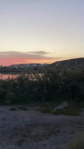 This is a vertical, handheld video shot at dusk or dawn. The scene is a body of water surrounded by lush green foliage. In the distance, there is a low-lying hill with some structures on it, possibly buildings or lights. The sky is a gradient of soft colors, transitioning from a pale pink and orange near the horizon to a light purple and grey higher up. The foreground is a dirt or gravel path. The overall impression is of a serene, natural landscape at twilight.