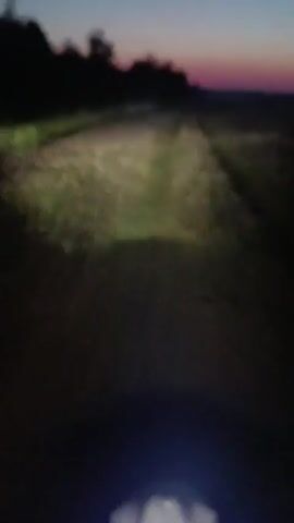 The video shows a first-person perspective of a dirt road at dusk. The sky is a gradient of blue and pink. The road is illuminated by headlights, casting pools of light on the grassy path. Silhouettes of trees are visible on the left side of the road, and the horizon is dark. The camera appears to be mounted on a moving vehicle, as the scene is slightly shaky and the light beam moves across the road. There are no people or other animals visible in the video. The overall impression is one of traveling on a rural road as nightfall approaches.