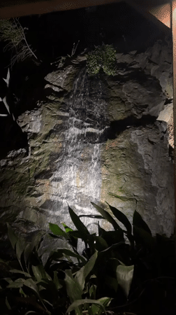 Dinner and a waterfall feature on a summer night in Boreti