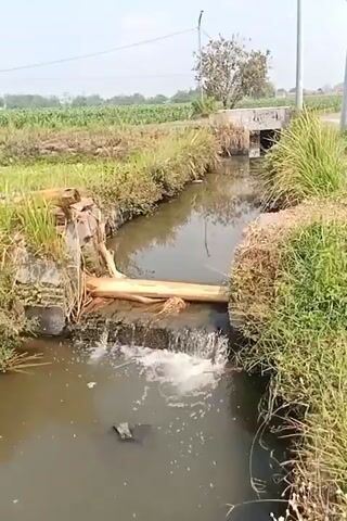 A drone flies over a small, murky canal. The canal is lined with concrete and overgrown with grass and weeds. A fallen tree trunk spans the canal, creating a small waterfall. In the distance, there are agricultural fields and a bridge. The sky is overcast.