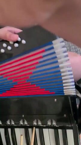 A close-up shot shows a person's hands playing a small accordion. The accordion is black with white and black keys. The bellows are red, white, and blue. The person's right hand is on the keys and the bellows, while their left hand is on the buttons on the side. The background is blurred, but appears to be indoors.