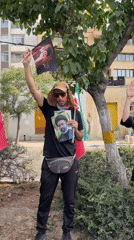 Flags raised on a Tehran median in a public display