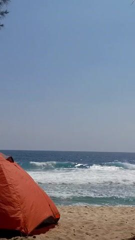 An orange tent sits on a sandy beach, with the ocean visible in the background. Waves are rolling onto the shore, and the sky is clear and blue. The camera is stationary and the scene is quiet. A few strands of palm fronds hang in the upper right corner of the frame.