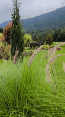 Morning scenes documented across Sukasada resort and recreational facilities