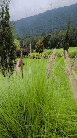 Morning scenes documented across Sukasada resort and recreational facilities