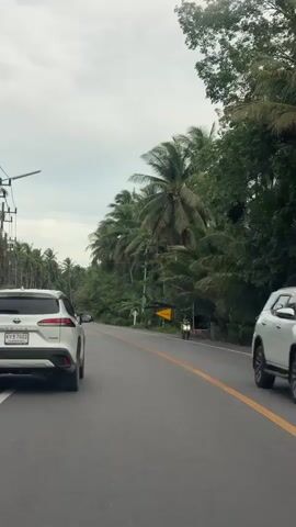 A white SUV is traveling down a two-lane road lined with palm trees. The sky is overcast. There are utility poles on the left side of the road. A yellow triangular road sign with a black border and an arrow pointing to the left is visible on the right side of the road. Further down the road, a motorcycle rider wearing a helmet and a dark jacket is visible. Another white car is visible in the distance on the right lane of the road. The road has a yellow line separating the lanes. The video is shot from a moving vehicle, likely from the perspective of someone in a car behind the SUV.