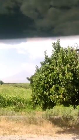 The video shows a stationary shot of a rural landscape on a sunny day with scattered clouds. In the foreground, there is a dirt road and some dry grass. Behind the road, there are several trees with green leaves, and beyond the trees, there is a large field of green crops. In the far distance, there are mountains and a light blue sky. The camera is positioned at ground level and the video is unedited, showing no people or visible animals. The scene appears peaceful and undeveloped.