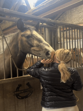Woman pets horse at Belgian stable