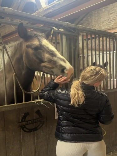 Woman pets horse at Belgian stable