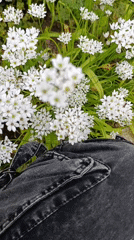 Spring Garden Tour Documented in Rural Bulgarian Village