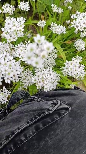 Spring Garden Tour Documented in Rural Bulgarian Village