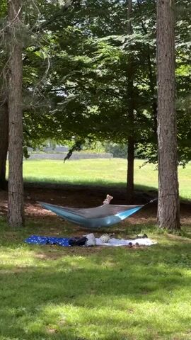 A static, full shot shows a person lying in a blue and gray hammock between two trees in a park-like setting. The person is wearing a light-colored top and light-colored shorts. The hammock is strung between two tall, slender trees with rough bark. The ground beneath the hammock is green grass, and to the left of the hammock is a blue and white patterned blanket, and to the right is a white blanket with what appear to be various items on it. In the background, there are more trees, and beyond them, an open grassy field under a bright sky. The sun casts dappled shadows on the ground.
