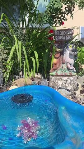 A solar-powered fountain pump with a black circular top is submerged in a blue, kidney-shaped kiddie pool filled with clear water. The pump is located in the foreground and has water spraying from its center. In the pool, a small, pink, artificial plant with branching fronds is partially visible near the bottom center. The pool is surrounded by decorative rocks, pine cones, and lush green plants with tall, spiky leaves and some red roses. To the right of the pool, on a rocky base, sits a decorative statue depicting two cartoonish animals, one brown and one white with black markings, perched on a tree stump. A small wooden sign with Russian text is attached to the statue, reading "ТЫ ЗАХОДИ ЕСЛИ ЧТО" which translates to "COME IN IF ANYTHING". The background shows more greenery and a portion of a building. The lighting suggests a sunny day.