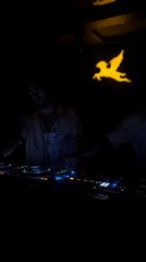 Behind the DJ booth in a darkened Mexico City venue