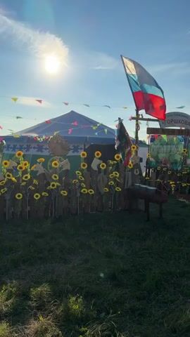 The video shows an outdoor scene with a clear blue sky and bright sun in the upper left corner. A Russian flag is prominently displayed on a pole in the center of the frame, waving in the breeze. To the right of the Russian flag is another flag with green and blue stripes. A wooden fence decorated with artificial sunflowers runs across the foreground. Behind the fence, there are various decorations including a tent-like structure, banners with writing in Russian, and what appear to be cutouts of horses. Colorful triangular flags are strung across the top of the scene, suggesting a festive event or celebration. The ground is covered in green grass. The overall impression is of a lively outdoor gathering.