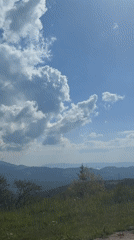 Morning drive through Bulgarian countryside captured on video
