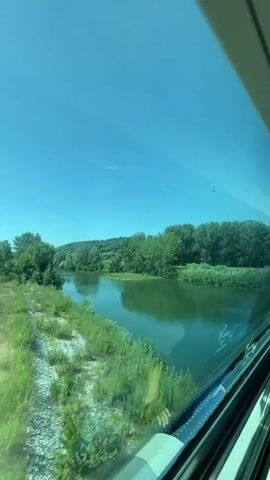 The video, taken from a train window, shows a body of water alongside a lush green landscape. The water is calm and reflects the blue sky and trees. The banks of the water are lined with tall green grass and various trees, some of which are dense and full of leaves. In the distance, rolling hills covered in trees can be seen under a clear blue sky. A reflection of a person, partially visible through the train window, can be seen in the water. The train appears to be moving, as indicated by the slight blur of the landscape and the subtle shifts in the view. The overall scene is peaceful and picturesque, showcasing a natural environment bathed in sunlight.