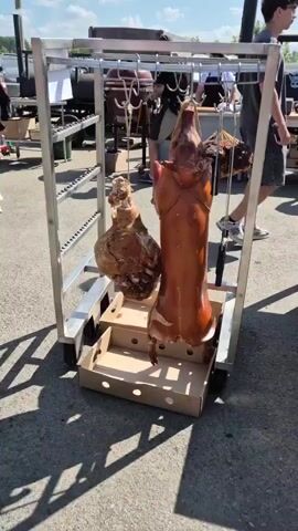 A whole roasted pig and a large piece of cured meat are hanging from a metal rack. The pig is golden brown and appears to be cooked. The cured meat is dark brown and looks like a ham. The rack is on wheels and is being displayed outdoors, likely at a market or festival. There are people in the background, and the overall environment suggests a sunny day. The pig is secured by ropes, and a cardboard box is placed underneath to catch any drippings.