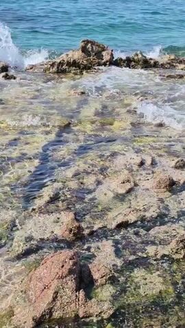 The video shows a close-up, static shot of a rocky coastline with shallow, clear water. Waves are crashing against larger rocks in the background, creating white foam. The foreground is dominated by the rocky, uneven seabed, with some patches of green algae or seaweed. The water is transparent enough to see the rocks and sand beneath the surface. The overall impression is a natural, undisturbed coastal environment.