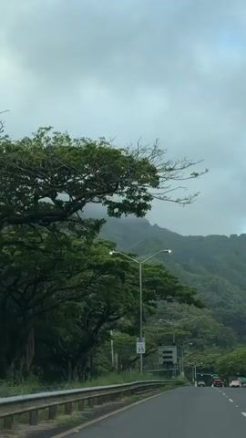 The video shows a view from a car driving on a highway. On the left side of the road, there is a metal guardrail and a grassy area with trees. A speed limit sign that says 35 is visible. On the right side of the road, there are more trees and mountains in the background. The mountains are covered in green vegetation and a few clouds are visible at the top. The sky is overcast. Several cars are driving on the highway in the same direction as the camera. The road is paved and has white lane markers. A street light is visible on the left side of the road. The video is a point-of-view shot, suggesting it was filmed by someone in the passenger seat or from a dashboard camera. The overall atmosphere appears calm and scenic.