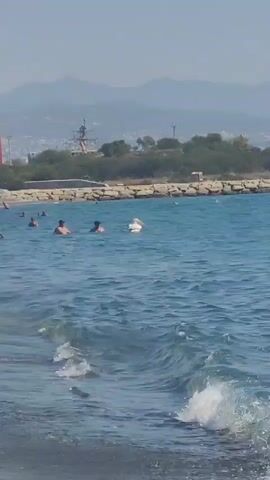 The video shows a beach scene. In the foreground, waves are gently rolling onto the shore. In the middle ground, several people are in the shallow water, swimming and wading. A woman in a white bikini is walking into the water. Further out in the water, a white bird, possibly a pelican, is visible. In the background, there is a breakwater made of large rocks, a line of trees, and a distant hillside with buildings and some structures, one of which appears to be a crane or a tall tower. The sky is clear and blue, suggesting a sunny day.