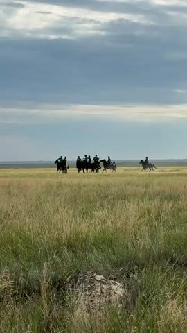 A group of people on horseback are riding across a vast, grassy plain under a cloudy sky. The scene appears to be set in a natural, open landscape, possibly a steppe or prairie, with the ocean or a large body of water visible in the distance. The riders and their horses are silhouetted against the bright sky, with the tall grass in the foreground obscuring some of their details. The overall impression is one of freedom and adventure, with the group seemingly on a journey or excursion. The time of day appears to be late afternoon or early evening, given the soft, diffused light and the long shadows cast by the riders. The weather seems to be partly cloudy, with dramatic cloud formations adding to the atmospheric quality of the scene. There are no visible text elements in the media. The location context of Öndiris, Kazakhstan, further emphasizes the vast and open nature of the landscape.