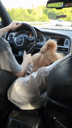 Driver captured on video in Audi in Montenegro